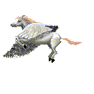 Headless Drupal with head fallback